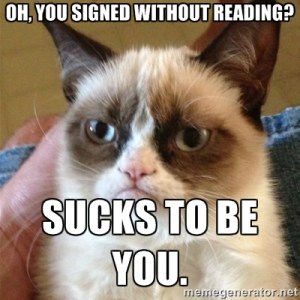 grumpy cat